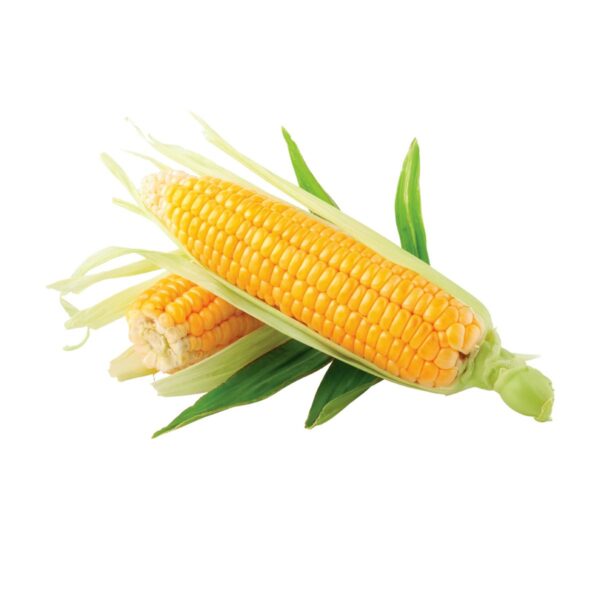 Dura Sweet Corn 500g